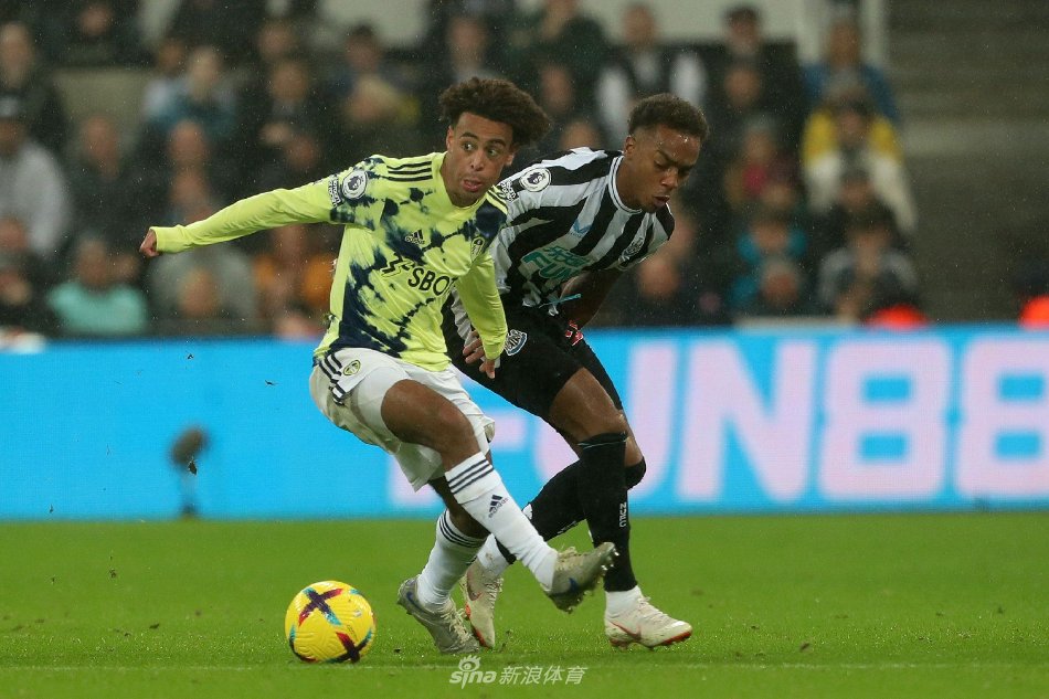 拉拉维亚在 拉拉维亚在